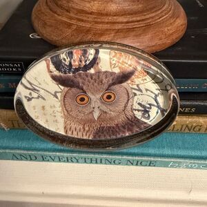 Owl‎ acrylic NWOT Paperweight. Perfect for office.